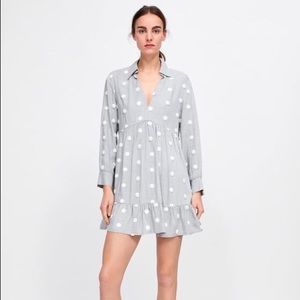 Zara Polka Dot Dress